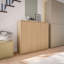 Saabir 20 Pair Shoe Storage Cabinet-335153045