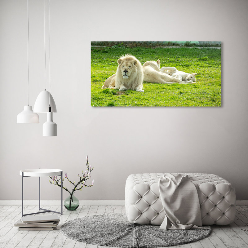 Beige Lions - Wrapped Canvas Print, Wrapped Canvas, 60cm H x 120cm W