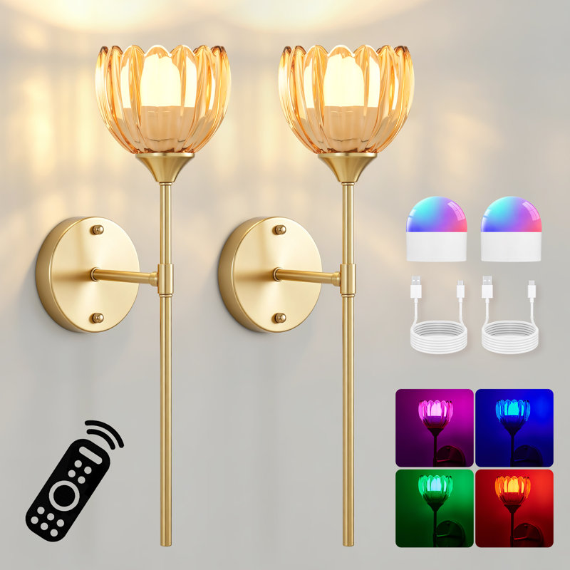 Ensemble de 2 appliques murales sans fil à piles avec ampoules DEL rechargeables et télécommande, lumières à intensité variable RVB avec abat-jour en verre tulipe