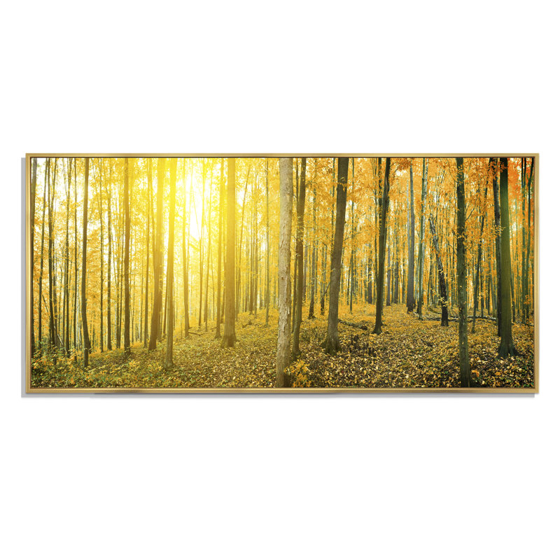 Lever de soleil sur un paysage de forêt panoramique - photographie sur toile, Cadre doré, H 30 po x l 40 po x P 1,5 po