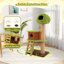  56" Tall Cat Tower With Mushroom-shaped Nest Condo Climbing Ladder Teasing Ball 