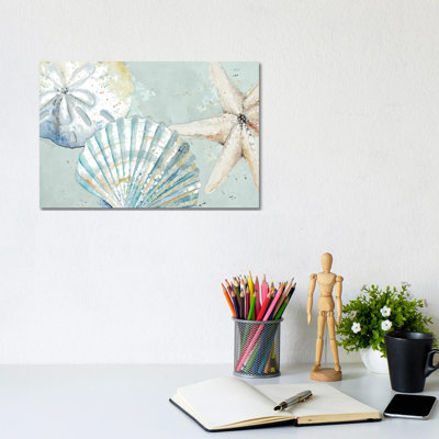 Beach Shells- Gallery-Wrapped Canvas Giclée