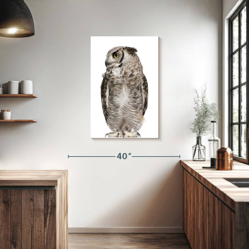 Brampt Owl Looking Sideways, 36" H x 24" W
