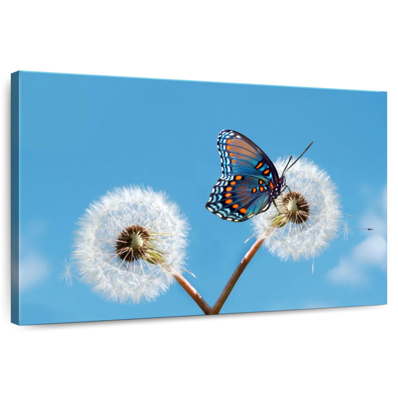 Brampt papillon sur pissenlit, H 16 po x l 24 po