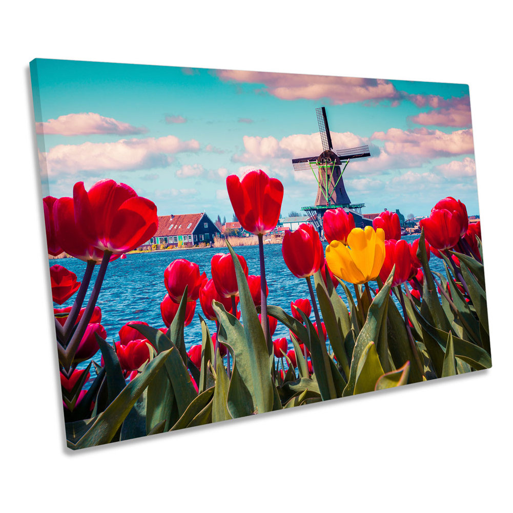 Tulips Windmill Netherlands - Wrapped Canvas Print