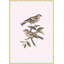Nesting Navigators Pink 3 Print-898930409