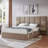 Iokaste Upholstered Lift Storage Bed Frame with Hotel-Style Headboard, Queen Size & King Size Bed Frame, Sprung Slats, Velvet Headboard and Drawers, Gas Lift Hydraulic Support, No Box Spring Needed-1658652066-1646615929