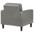 Accent Chair Arm Chair