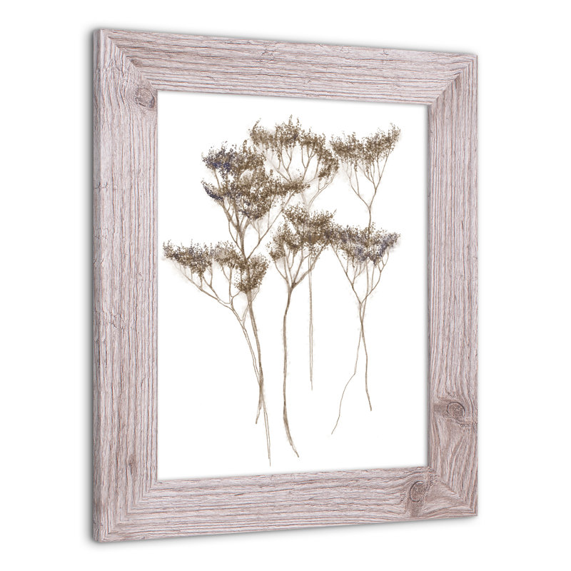 "Fleurs séchées III", reproduction encadrée, Blanc