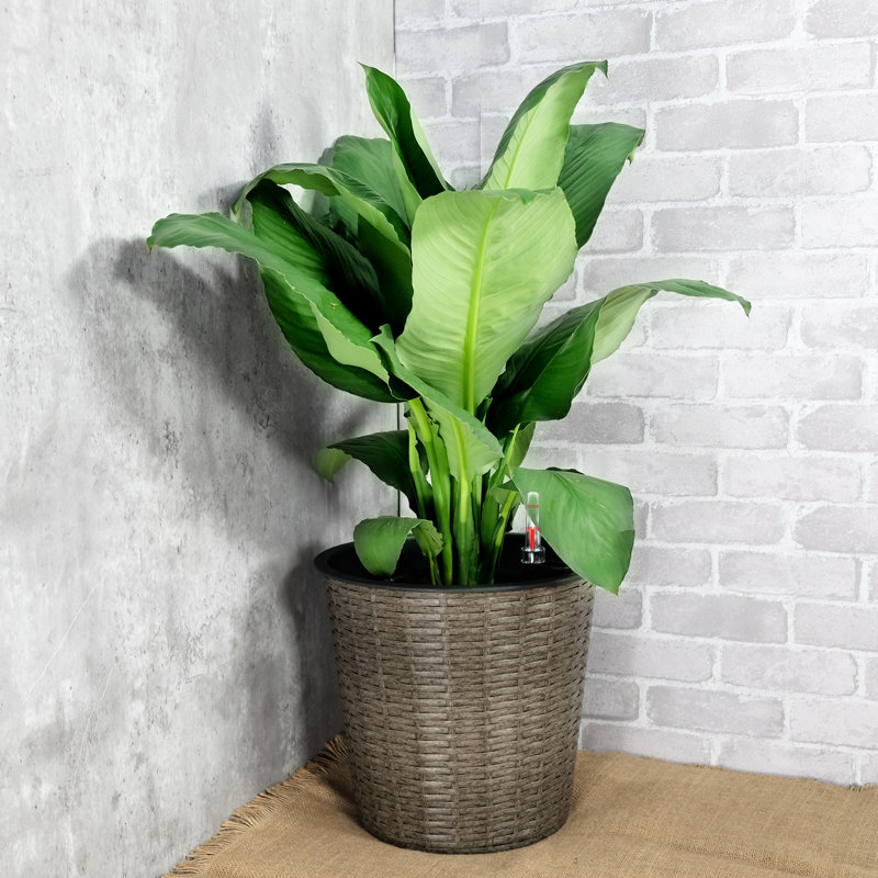 13.4" Round Natural Planter With Self-Watering - For Indoor And Outdoor Weather Simple Assembly Method Decor Protected Setup