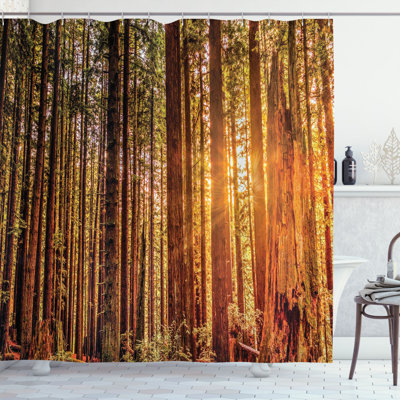 Shower Curtain with Hooks Included
