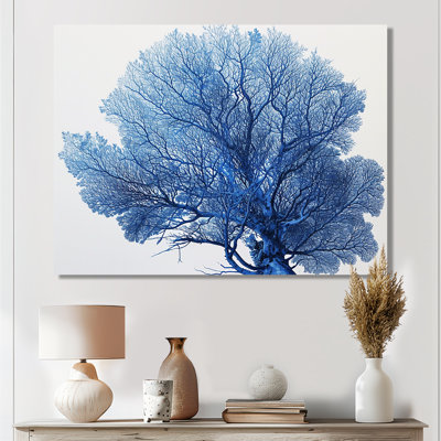 Corail bleu détaillé sur fond blanc rétro Illustration - art mural corail, salon