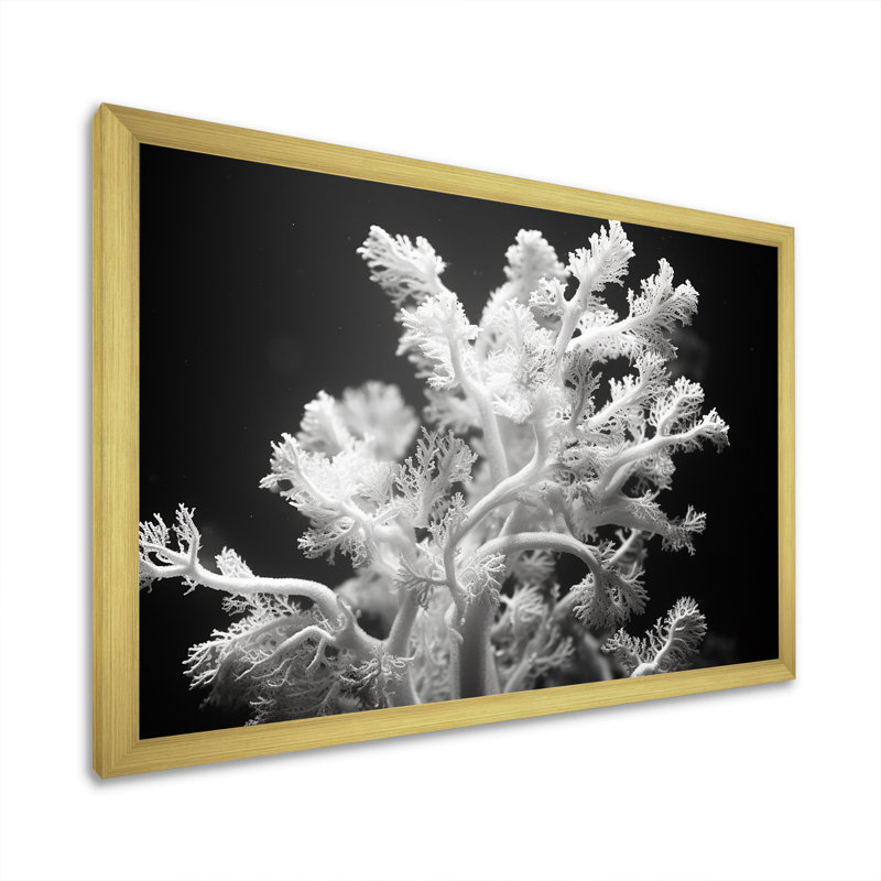«Black and White Coral Plant I - Beach & Ocean», reproduction sur toile, H 30 po x l 40 po x P 1,5 po, Cadre photo doré