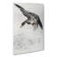 Duck by Watanabe Seitei - Wrapped Canvas-55311873