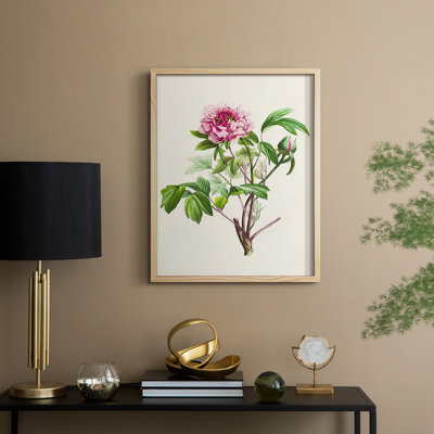 «Pretty Pink Botanicals», reproduction encadrée en bois massif