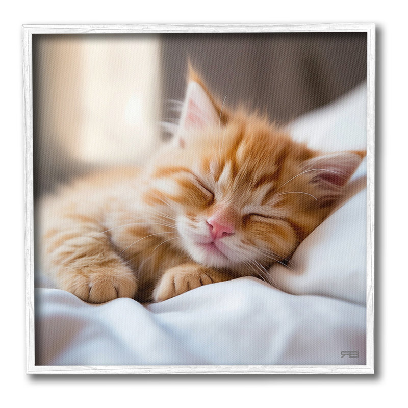Chaton endormi, estampe numérique encadrée par RB, Estampe numérique Farmhouse, H 12 po x l 12 po