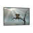 Silver Floater Framed Canvas