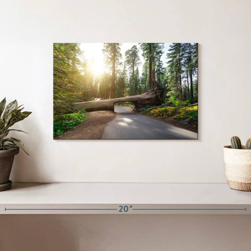 Mehar Sequoia Road Tunnel Road, H 8 po x l 12 po