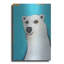 «L'ours polaire mignon» par Lucia Stewart-217689346