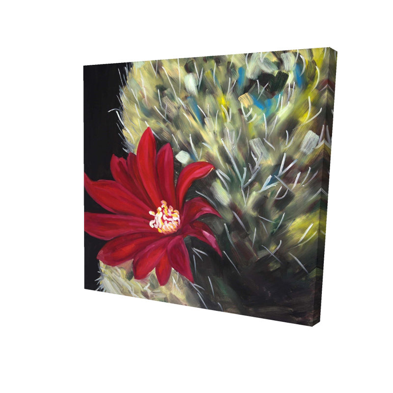 «Echinopsis Red Cactus Flower», art contemporain sur toile rouge, H 36 po x l 36 po, Toile tendue