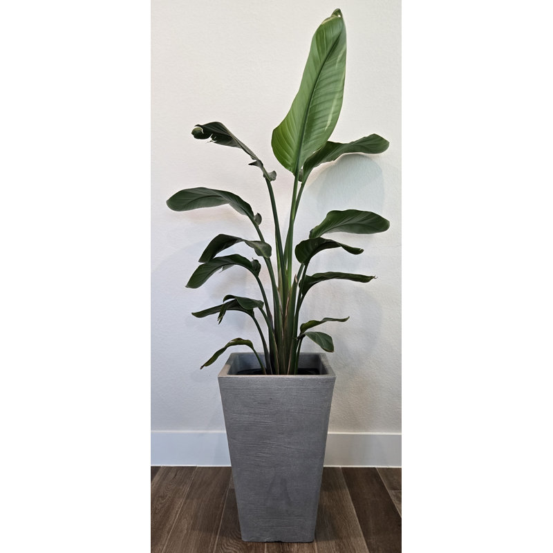 Manhattan moyen, H 22 po x l 14 po x P 14 po, Gris