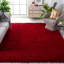 Shortt Handmade Tufted Red Area Rug-28863521