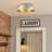 Worthing Steel Flush Mount-899314088