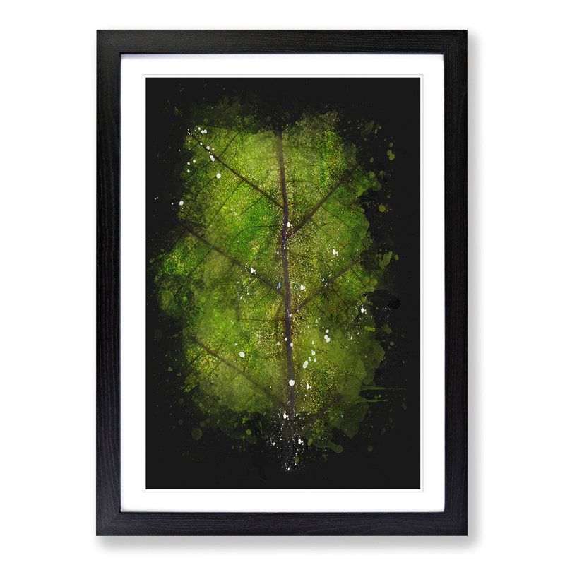 Leaf Lines Paint Splash - Picture Frame Graphic Art, 33cm H x 24cm W x 2cm D, Black Framed