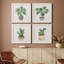 Boho Greenery I - ensemble de 4 peintures sur toile encadrées-60149338-60149347