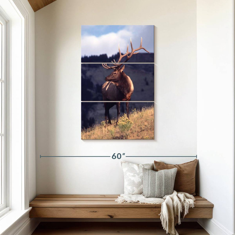 Brampt Montana Bull Elk, 45" H x 28" W