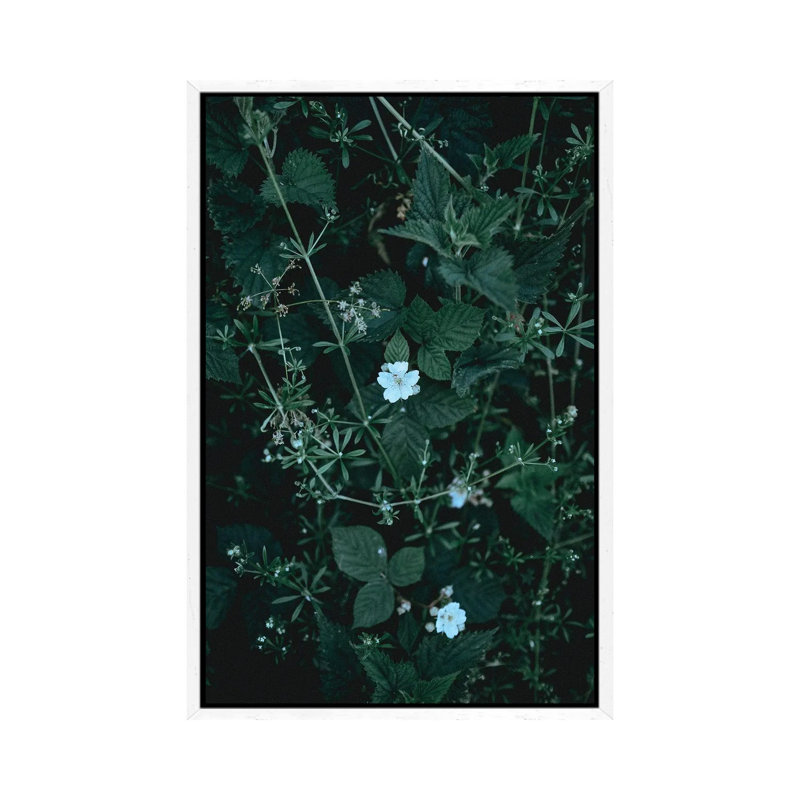 Greenery 1 Piece Wall Art on Canvas, 66.04 cm H x 45.72 cm W, White Framed