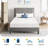 Medium Memory Foam Mattress-435334803-435334808