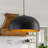 1-Dimmable black gold iron pendant light
