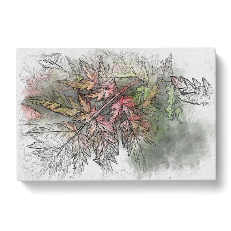 Fern Leaves Vol.2 Sketch - Wrapped Canvas, 50cm H x 76cm W x 3cm D
