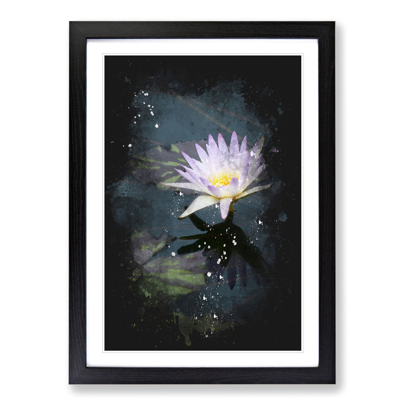 Pretty Water Lily - Single Picture Frame Print on Wood, 65cm H x 48cm W x 2cm D, Black Framed