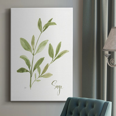 " Herb Sage "