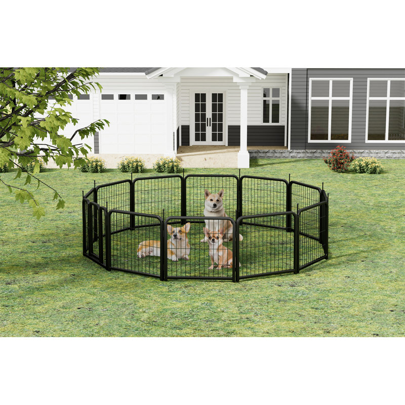 Parc pour chien extérieur