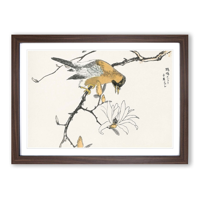 Tibetan Hoopoe Bird by Numata Kashu - Picture Frame Painting Print, 35cm H x 50cm W x 2cm D, Walnut