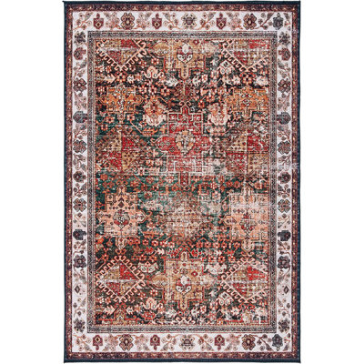 Pashen Performance Machine Washable Oriental Rug