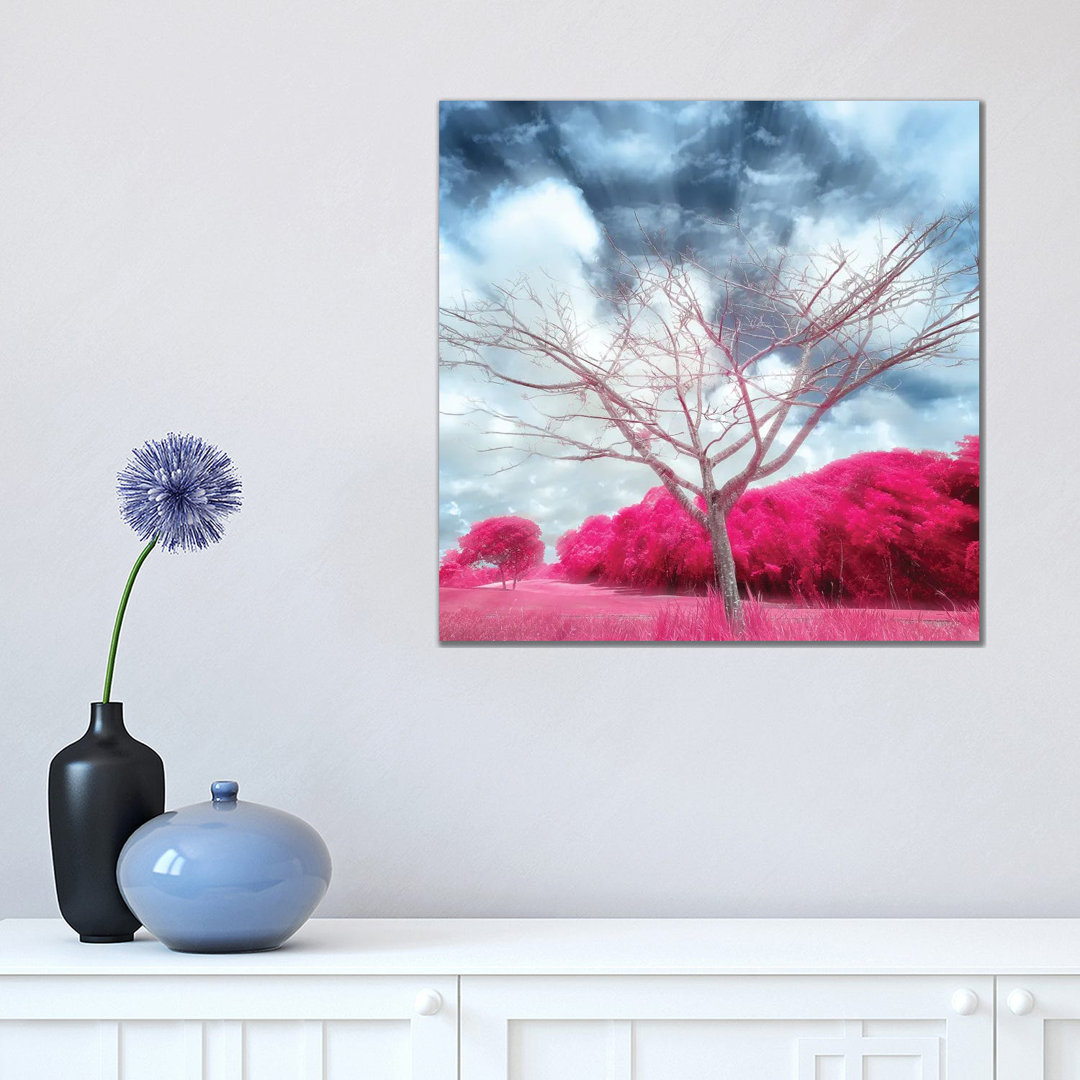 Pygmybirch by Glauco Meneghelli - Wrapped Canvas Painting