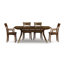 Catalina Trestle Extensions Table-12456051-12261748