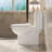 1.1/1.6 GPF Dual-Flush Elongated ADA Height One Piece Dual-Flush Modern Toilet with Soft-Closing Seat,MAP Flushing 1000G-121551826