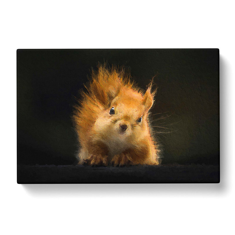 Squirrel - Wrapped Canvas, 50cm H x 76cm W x 3cm D