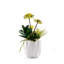 Faux Succulent Plant in Ceramic Planter
