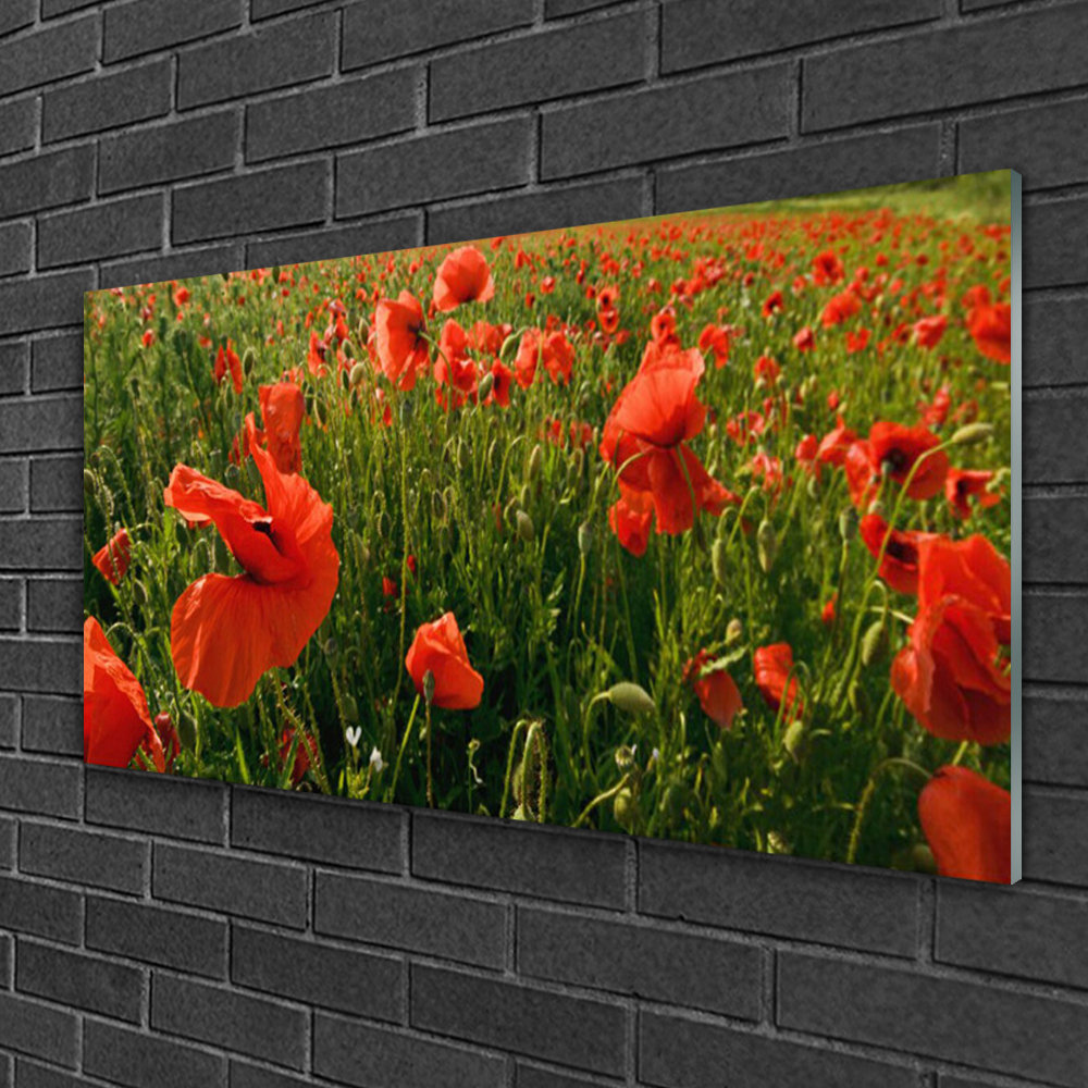 Glasbild Nature Poppies