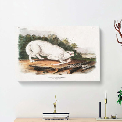 White American Wolf by J.W. Audubon - Wrapped Canvas Painting