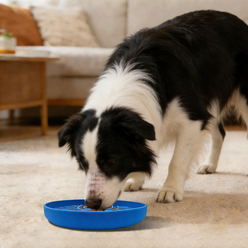 Bols pour chien à alimentation lente, bol pour chien à alimentation lente, bol à alimentation lente pour chiots, Blue