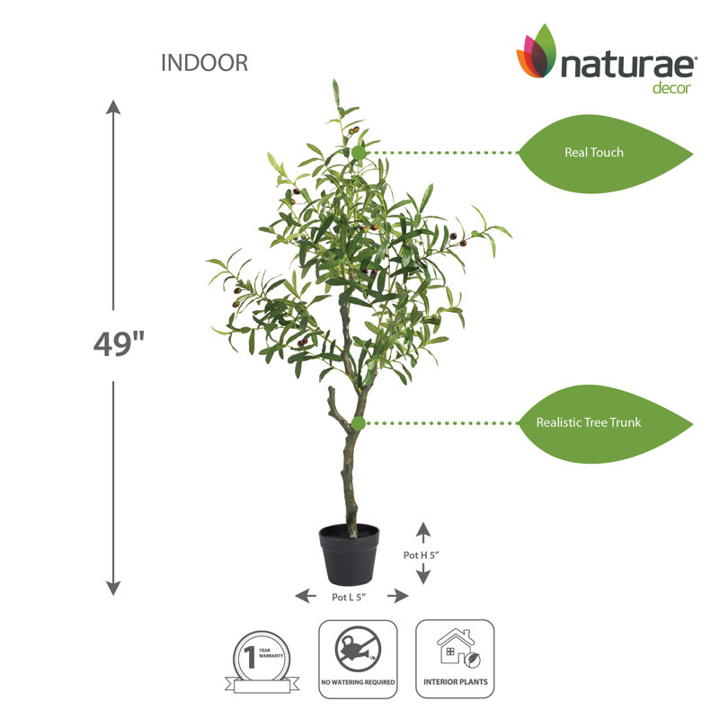 Olive artificielle 49 po en pot