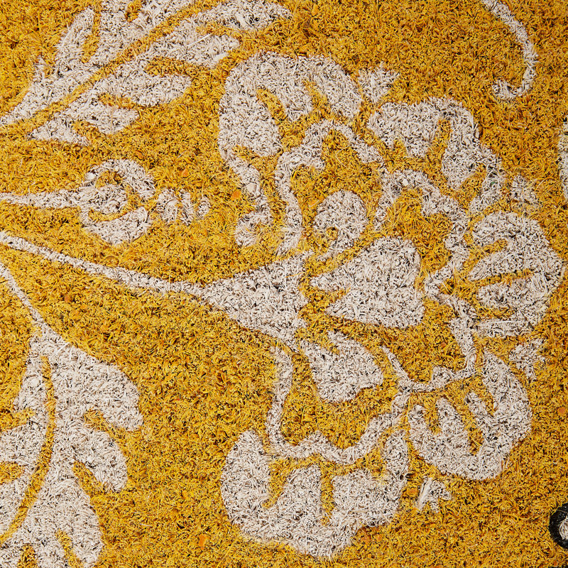 Shella Floral Outdoor Doormat