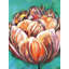 «Abstract Double Tulips», reproduction sur toile